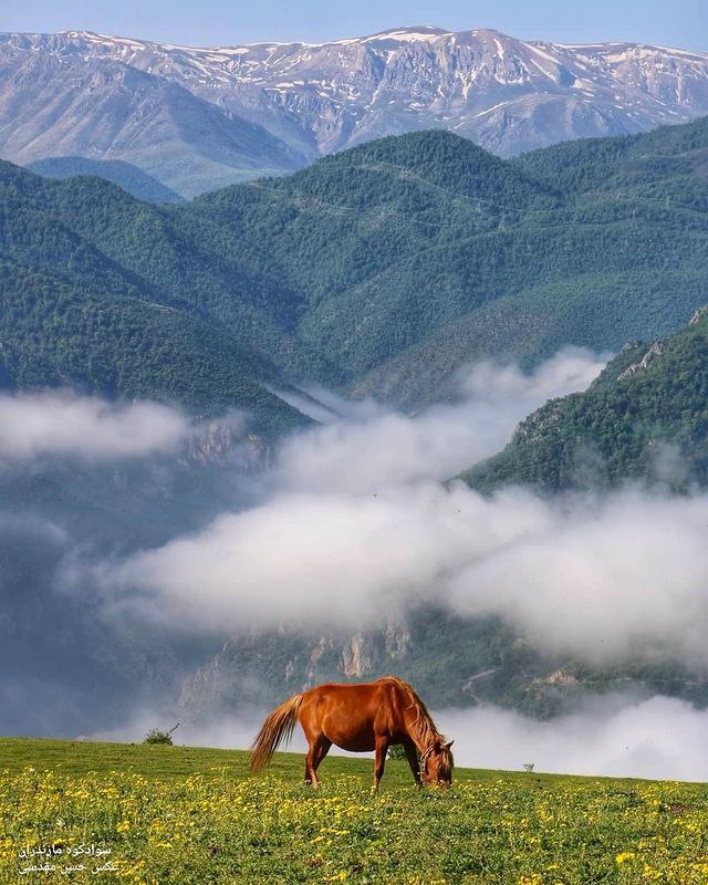 سواد کوه مازندران 