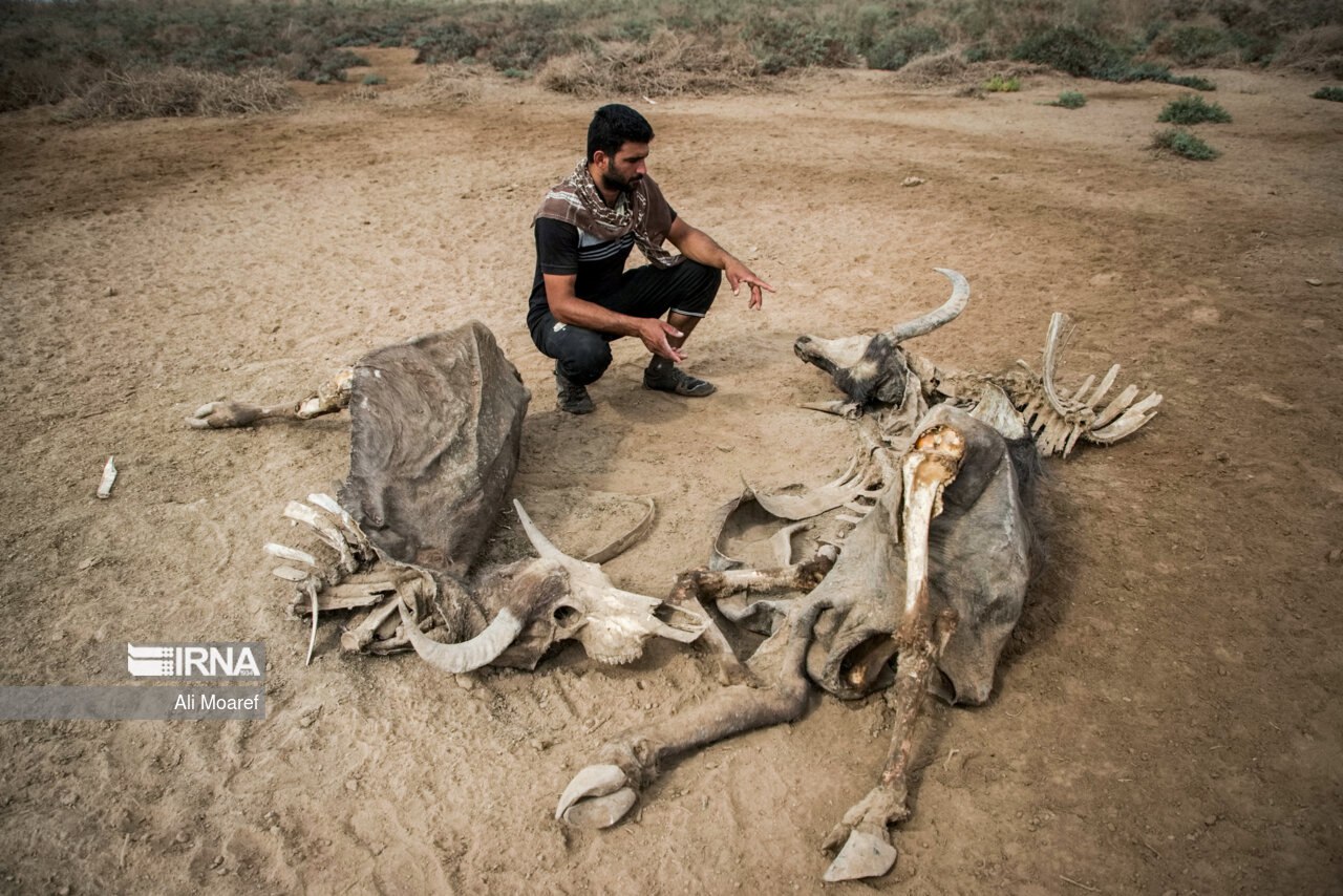 عکس/ رُفیّع؛ در خطر کم آبی