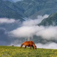 سواد کوه مازندران 