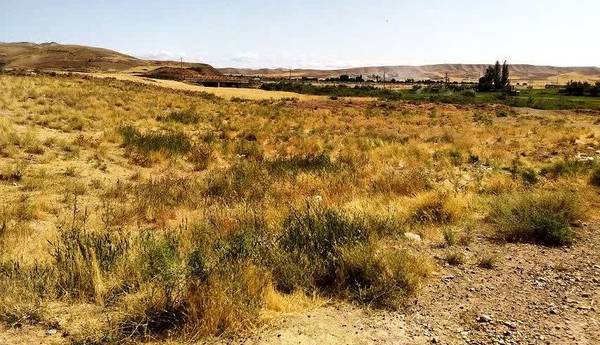 مشکل محل برگزاری مراسم تعزیهخوانی روستای قمچقای ایجرود با «وقف» حل شد