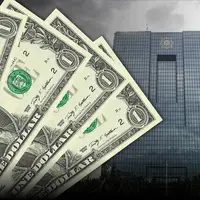بانک مرکزی: ارز واردات کالاهای اساسی طبق سهمیه قانونی تامین شده است