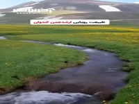 طبیعت رویایی ارشد چمنی کندوان