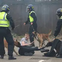 عکس/ حمله سگ های پلیس انگلیس به معترضان 