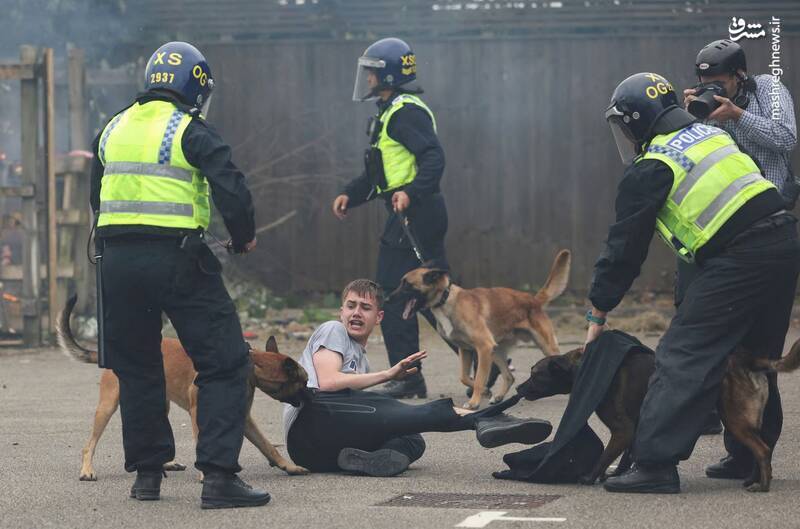 عکس/ حمله سگ های پلیس انگلیس به معترضان 