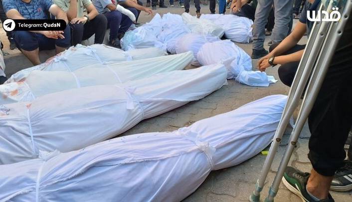 فقط نیمی از شهدا قابل شناسایی هستند؛ هر ۷۰ کیلوگرم یک شهید!