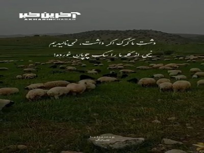 این منم ؛ خون جگر از بدِ دوران خورده