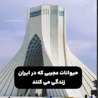 حیوانات عجیبی که در ایران زندگی می کنند