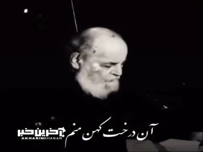 آن درخت کهن منم...