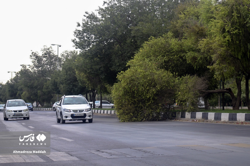 شکستگی درختان بر اثر وزش باد شدید در شیراز