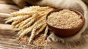 بیش از یک میلیون و ۱۴۷ هزار تن گندم در کردستان خریداری شد