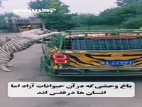 باغ وحشی در آفریقا که در آن حیوانات آزاد هستند