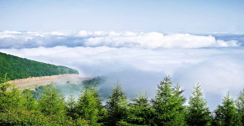 جنگل ابر؛ استان سمنان