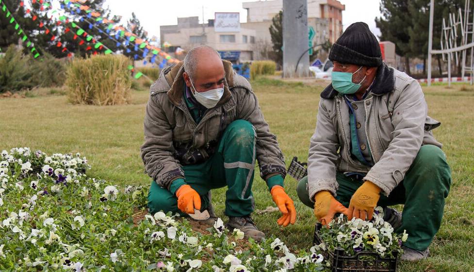 پاییز بجنورد با کاشت ۵ هکتار گل رنگی‌تر می‌شود