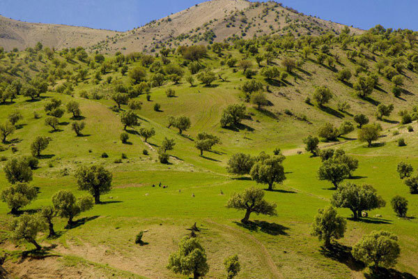 منطقه زیبای تنگه شمیران ایوان معروف آکواریوم طبیعی