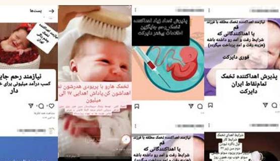 ردّپای پزشکان در دلالی تخمک و رحم اجاره‌ای!