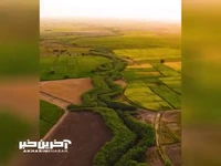 دشت شالیزار شرق استان گلستان با رخ نمایی نیلکوه