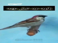 مثالی از چگونگی تأثیر زاویه بر ادراک