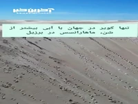 تنها کویر در جهان که دریا دارد!