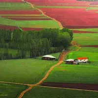 تصویری زیبا از لاشک در مازندران