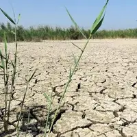 ۹ تالاب ایران بیابان شد