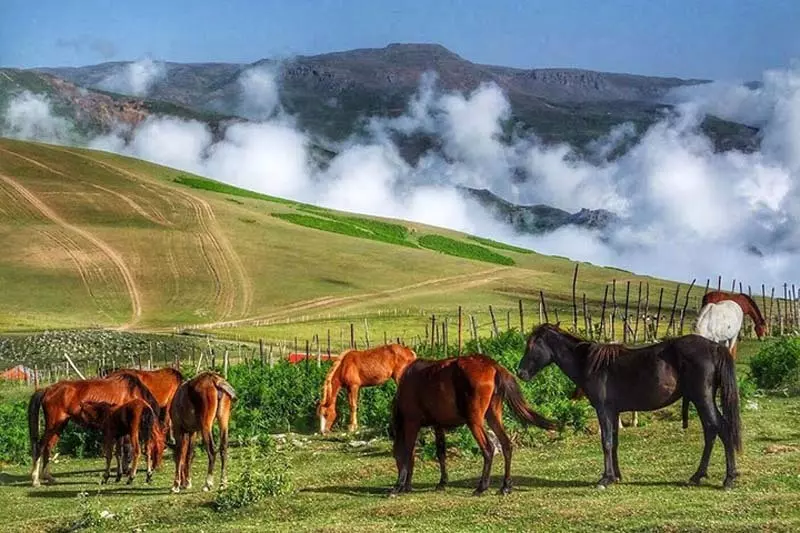 قابی زیبا از تالش در گیلان