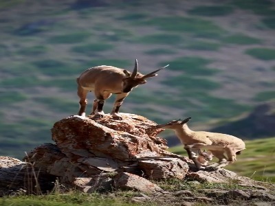 مازندران زیبا