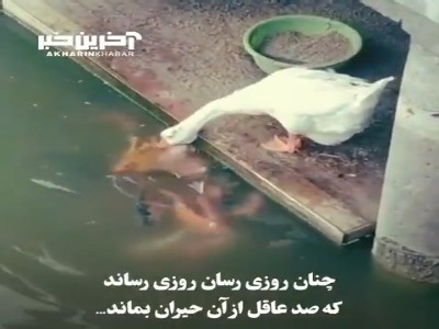 که صد عاقل از آن حیران بماند...