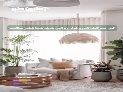 این سه گیاه آپارتمانی هم خونه رو لوکس میکنه و هم فیلتر هواس!