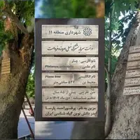 درختان کهنسال شهر اصفهان شناسنامه‌دار می‌شوند