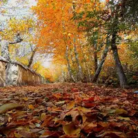 لرستان خُنک می‌شود