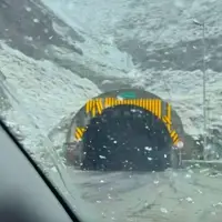 بارش برف در جاده چالوس