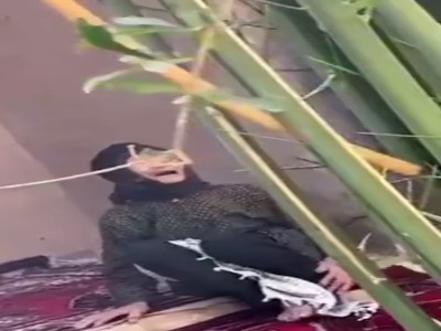 دیدار تعدادی از هنرمندان با خانوادههای جانباختگان حادثه معدن طبس