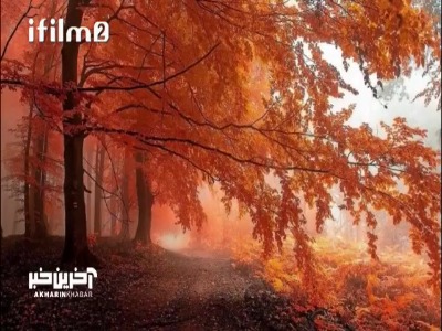 نماهنگ تماشایی «عصر پاییزی» با صدای مرتضی پاشایی