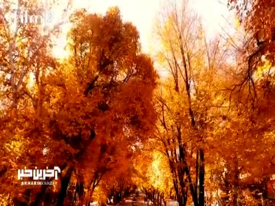 نماهنگ زیبای «پاییز» با صدای شهاب جلالی نیا