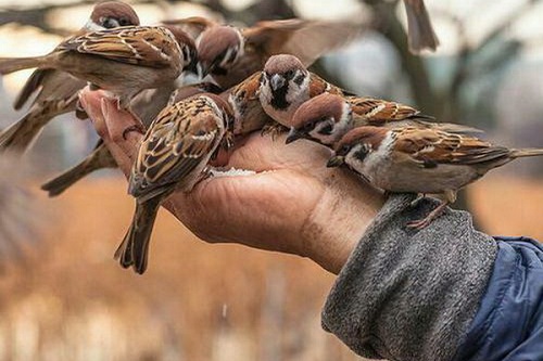 داستانک/ اگر می‌خواهی ببخشی، در زمان حیاتت ببخش