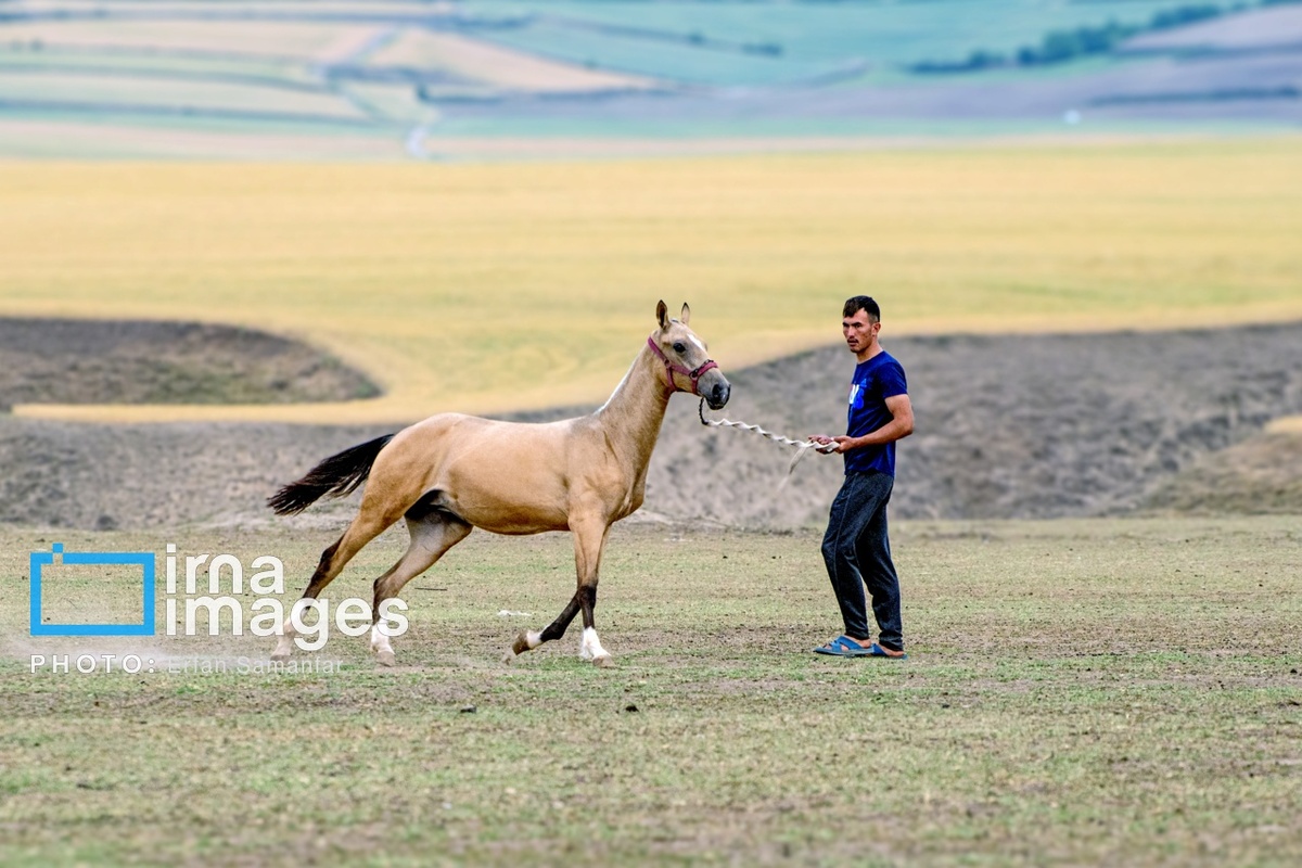 عکس/ صفای زندگی روستایی 