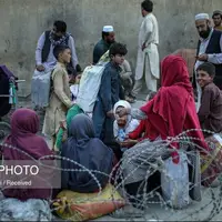 اتباع بیگانه غیرمجاز در کهگیلویه و بویراحمد جمع‌آوری و تردد می‌شوند