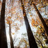 دمای هوا در گیلان ۱۰ درجه افزایش می‌یابد