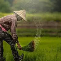 کوچ کشاورزان به مشاغل دیگر