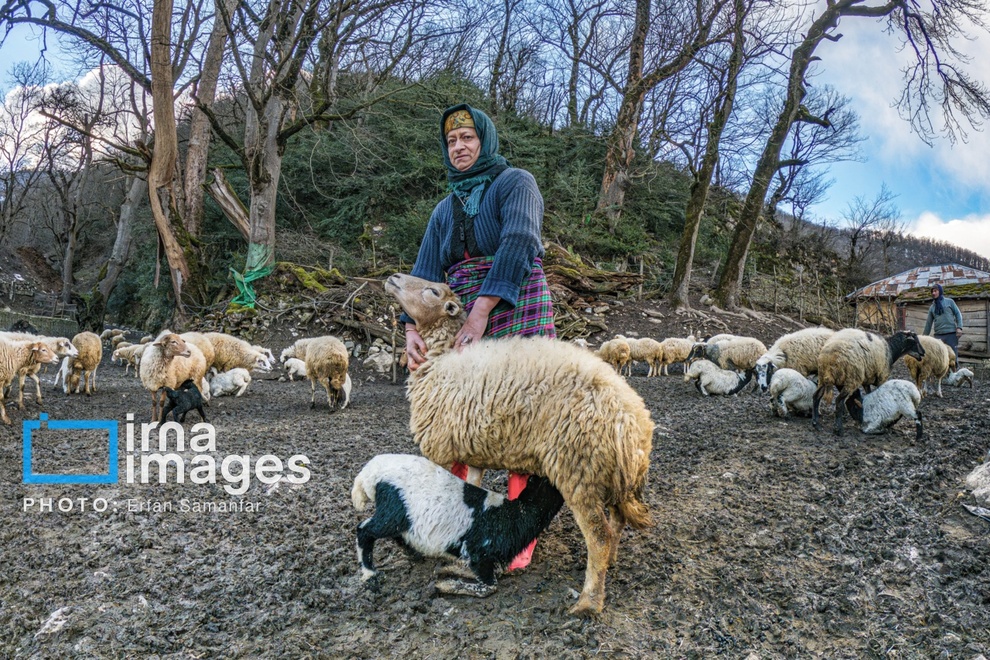 عکس/ صفای زندگی روستایی 