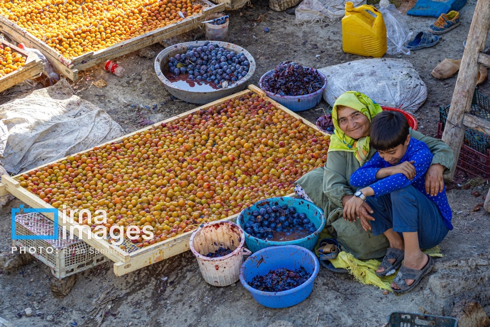 عکس/ صفای زندگی روستایی 