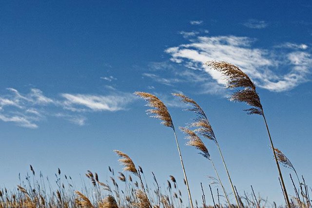 وزش باد ملایم در آسمان قم