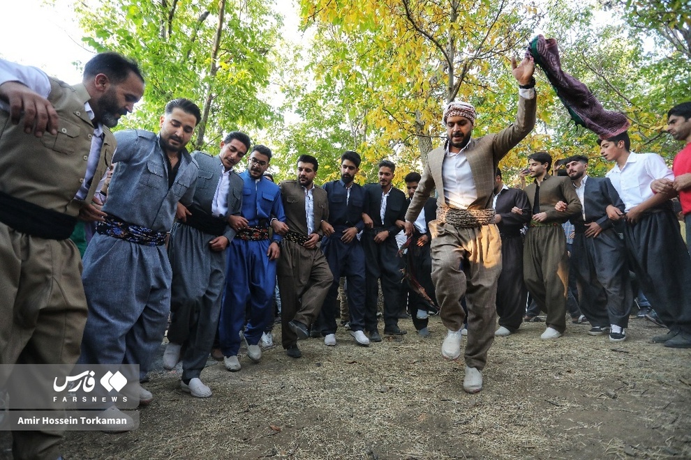 جشنواره آلو در روستای حیدره‌قاضی‌خان بهار