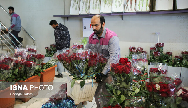 امکان افزایش ماندگاری گُل‌های چیده شده در آب