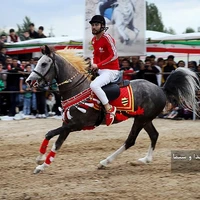 جشنواره کشوری شو سواره جام ارسباران در اهر 