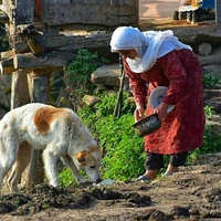 زندگی یک زن روستایی در کلبه جنگلی اش