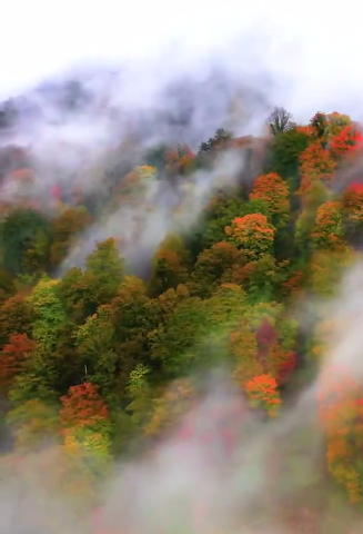 پاییز رنگارنگ و زیبای ایران