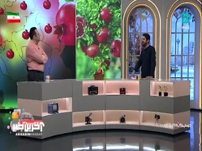 ایران بزرگ‌ترین بانک ژنتیک زنده انار دنیا را دارد