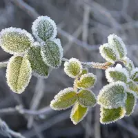 سوز سرمای پاییزی در آذربایجان‌ غربی بیشتر شد