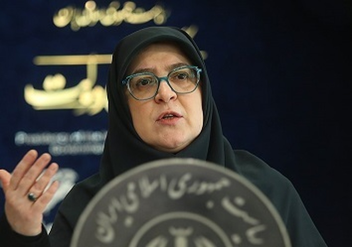سخنگوی دولت: وزارت کشور در حال خارج کردن اتباع غیرمجاز و دیوارکشی در مرزهاست
